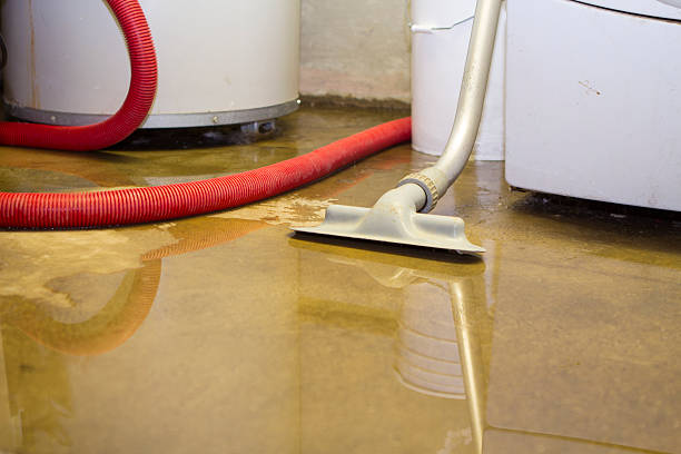 Best Flood damage cleanup  in Channelview, TX